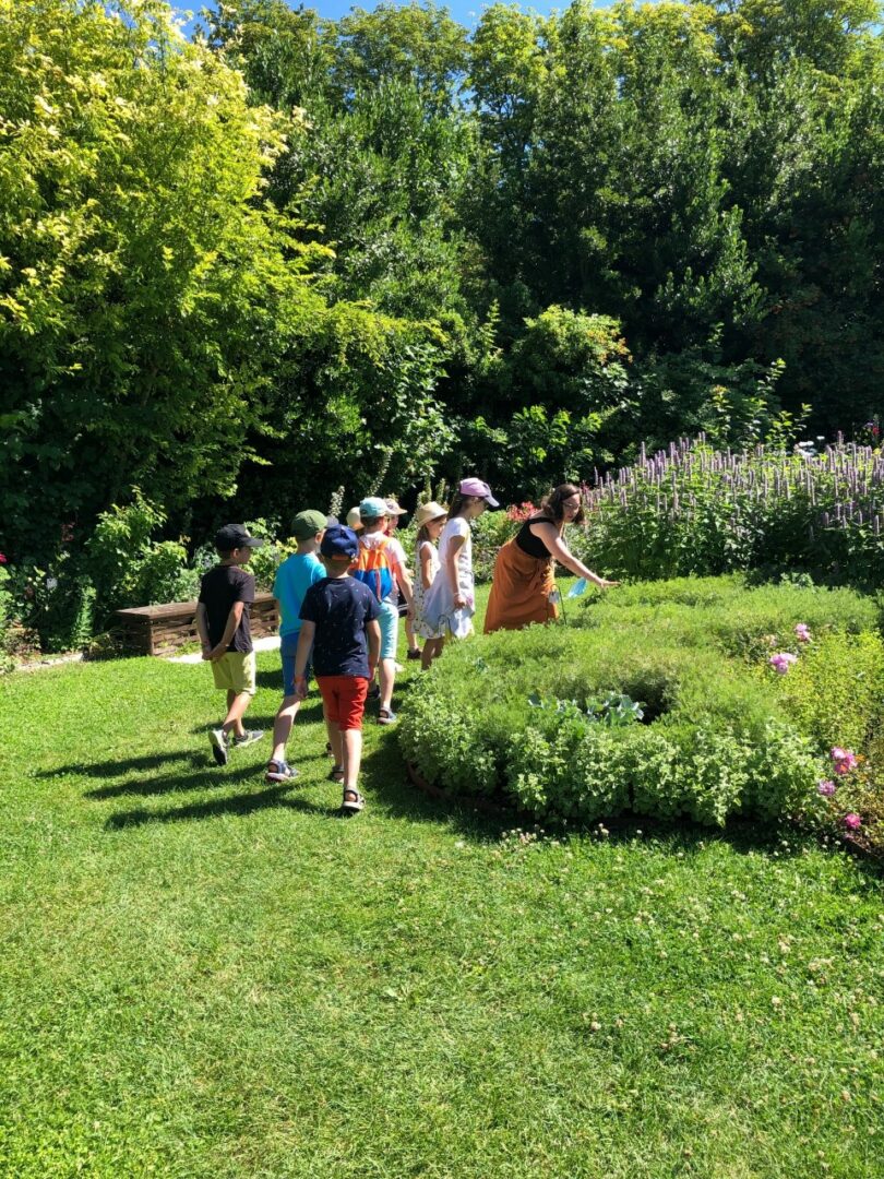 Visite-atelier Enchantement des plantes au Chateau du Rivau activité été 2023 en Val de Loire